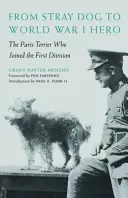 Z toulavého psa hrdinou první světové války: pařížský teriér, který se připojil k první divizi - From Stray Dog to World War I Hero: The Paris Terrier Who Joined the First Division