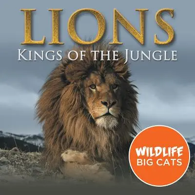 Lions: Výukové materiály pro výuku přírodních věd - Lions: Králové džungle (Velké kočky ve volné přírodě) - Lions: Kings of the Jungle (Wildlife Big Cats)
