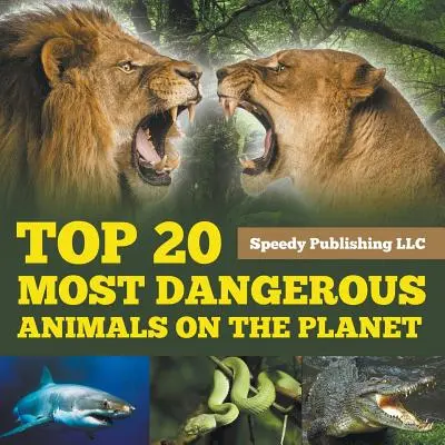 20 nejnebezpečnějších zvířat na planetě - Top 20 Most Dangerous Animals On The Planet