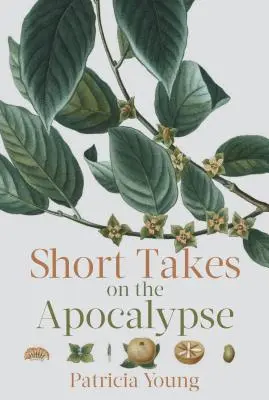 Krátké pohledy na apokalypsu - Short Takes on the Apocalypse