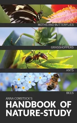 Barevná příručka o přírodě - Hmyz - The Handbook Of Nature Study in Color - Insects