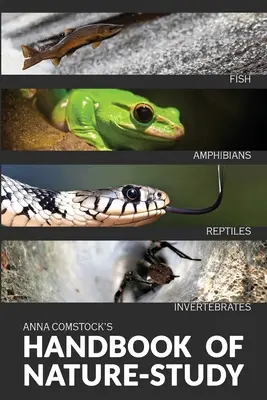 Příručka barevného přírodopisu - Ryby, plazi, obojživelníci, bezobratlí - The Handbook Of Nature Study in Color - Fish, Reptiles, Amphibians, Invertebrates