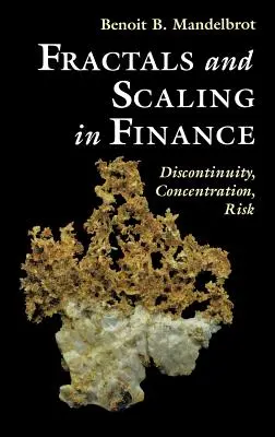 Fraktály a škálování ve financích: Diskontinuita, koncentrace, riziko. Selecta svazek E - Fractals and Scaling in Finance: Discontinuity, Concentration, Risk. Selecta Volume E