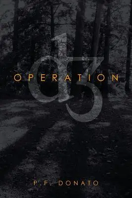 Operace D3 - Operation D3