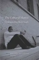 Kulturní matrice: Pochopení černošské mládeže - Cultural Matrix: Understanding Black Youth