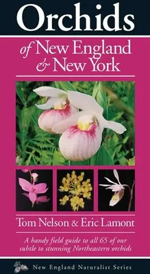 Orchideje Nové Anglie a New Yorku - Orchids of New England & New York