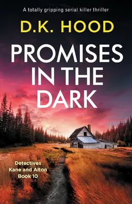 Sliby ve tmě: Naprosto strhující thriller o sériovém vrahovi - Promises in the Dark: A totally gripping serial killer thriller