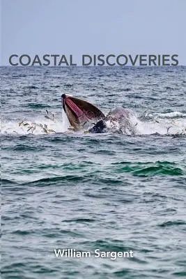 Na sever od Bostonu - velryby a příběhy - North of Boston- Whales and Tales