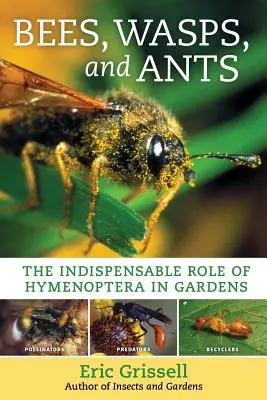 Včely, vosy a mravenci: Nezastupitelná role blanokřídlých v zahradách - Bees, Wasps, and Ants: The Indispensable Role of Hymenoptera in Gardens