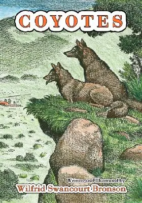 Kojoti - Coyotes