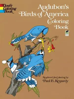 Audubonovy omalovánky Ptáci Ameriky - Audubon's Birds of America Coloring Book