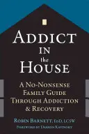 Závislák v domě: Průvodce pro rodinu, jak se dostat ze závislosti a zotavit se z ní: Bez zbytečných řečí - Addict in the House: A No-Nonsense Family Guide Through Addiction and Recovery