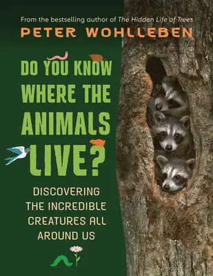 Víte, kde žijí zvířata?: Objevování neuvěřitelných tvorů všude kolem nás: Jak žijí zvířata? - Do You Know Where the Animals Live?: Discovering the Incredible Creatures All Around Us