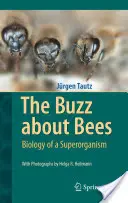 The Buzz about Bees (Rozruch kolem včel): Biologie superorganismu - The Buzz about Bees: Biology of a Superorganism