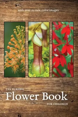 Květinová kniha Burgess s novými barevnými obrázky - The Burgess Flower Book with new color images