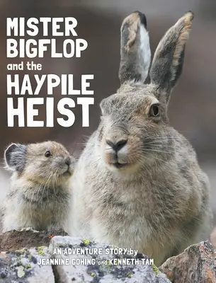 Mister Bigflop a loupež v Haypile - Mister Bigflop and the Haypile Heist