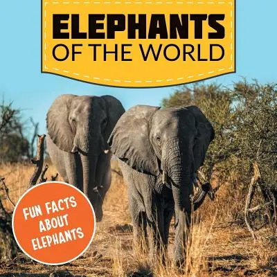 Sloni světa: Zábavná fakta o slonech - Elephants of the World: Fun Facts About Elephants