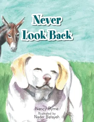 Nikdy se neohlížej zpět - Never Look Back