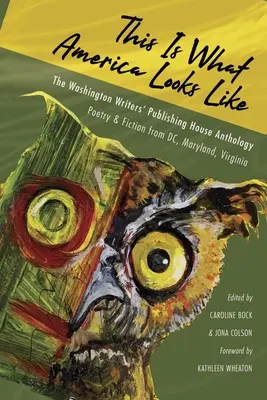 Takhle vypadá Amerika: Antologie nakladatelství Washington Writers - This Is What America Looks Like: The Washington Writers Publishing House Anthology