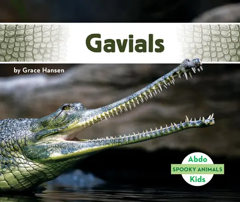 Gaviály - Gavials
