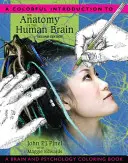 Barevný úvod do anatomie lidského mozku: Omalovánky o mozku a psychologii - A Colorful Introduction to the Anatomy of the Human Brain: A Brain and Psychology Coloring Book