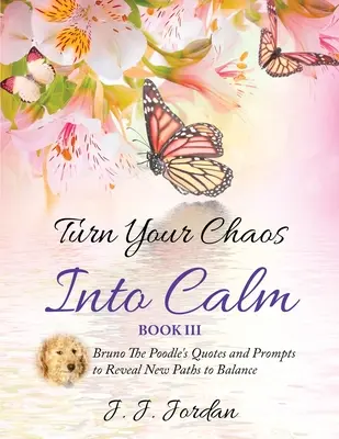 Proměňte svůj chaos v klid - Turn Your Chaos Into Calm