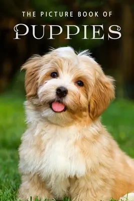 Obrázková kniha o štěňátkách: Dárková knížka pro pacienty s Alzheimerovou chorobou a seniory s demencí. - The Picture Book of Puppies: A Gift Book for Alzheimer's Patients and Seniors with Dementia