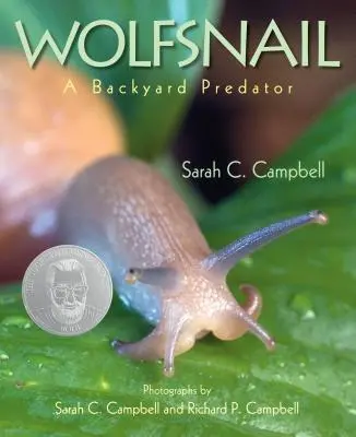 Vlčí hřeben: Dravec na dvorku - Wolfsnail: A Backyard Predator