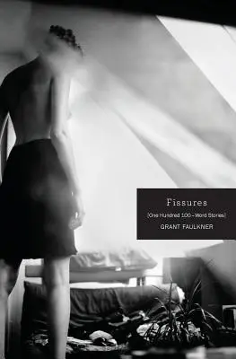 Trhliny: Sto příběhů o 100 slovech - Fissures: One Hundred 100-Word Stories