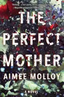 Dokonalá matka - román - Perfect Mother - A Novel