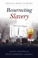 Vzkříšení otroctví: Rasové dědictví a nadřazenost bílé rasy ve Francii - Resurrecting Slavery: Racial Legacies and White Supremacy in France