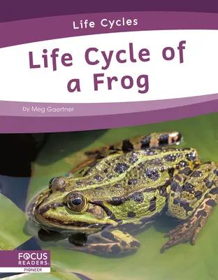 Životní cyklus žáby - Life Cycle of a Frog