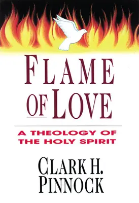 Plamen lásky: Tři pohledy na osud neevangelizovaných lidí - Flame of Love: Three Views on the Destiny of the Unevangelized