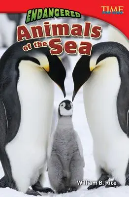 Ohrožení mořští živočichové - Endangered Animals of the Sea