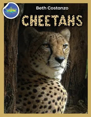 Gepard Pracovní sešit s aktivitami pro děti od 4 do 8 let - Cheetah Activity Workbook ages 4-8