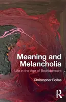 Smysl a melancholie: Život ve věku zmatení - Meaning and Melancholia: Life in the Age of Bewilderment