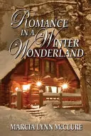 Romantika v zimní říši divů - Romance in a Winter Wonderland