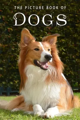 Obrázková kniha o psech: Dárková kniha pro pacienty s Alzheimerovou chorobou a seniory s demencí - The Picture Book of Dogs: A Gift Book for Alzheimer's Patients and Seniors with Dementia