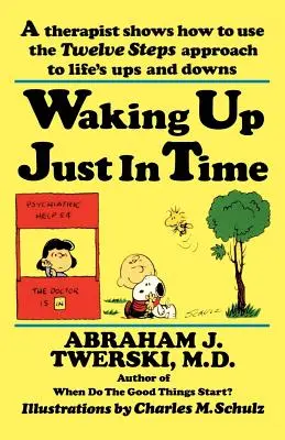 Probudit se právě včas: Terapeut ukazuje, jak využít přístup dvanácti kroků k životním vzestupům a pádům - Waking Up Just in Time: A Therapist Shows How to Use the Twelve Steps Approach to Life's Ups and Downs