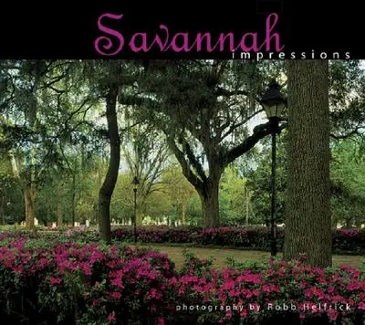 Dojmy ze Savannah - Savannah Impressions