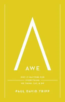 Úcta: Proč je důležitá pro všechno, co si myslíme, říkáme a děláme? - Awe: Why It Matters for Everything We Think, Say, and Do