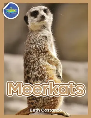 Surikata Pracovní sešit aktivit pro děti od 4 do 8 let - Meerkat Activity Workbook for Kids ages 4-8