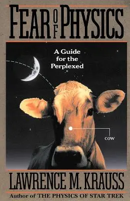 Strach z fyziky: Průvodce pro zmatené - Fear of Physics: A Guide for the Perplexed