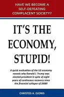 Za to může ekonomika, blbče - It's the Economy, Stupid