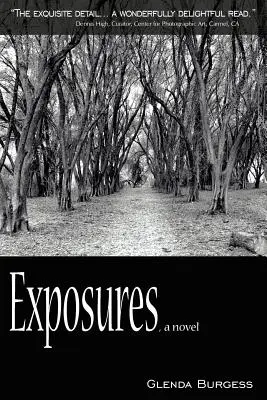 Expozitury, román - Exposures, a novel