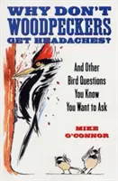 Proč datly nebolí hlava?: A další otázky o ptácích, na které se chcete zeptat. - Why Don't Woodpeckers Get Headaches?: And Other Bird Questions You Know You Want to Ask