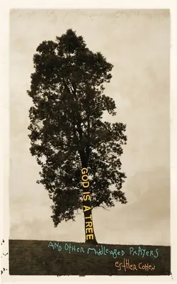 Bůh je strom: a jiné modlitby ve středním věku - God Is a Tree: and Other Middle-Aged Prayers
