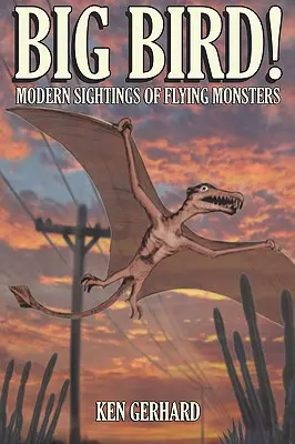 Velký pták! - Moderní pozorování létajících monster - Big Bird! - Modern Sightings of Flying Monsters
