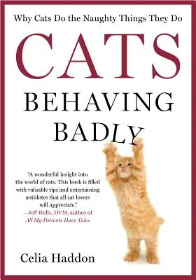 Kočky se chovají špatně - Cats Behaving Badly