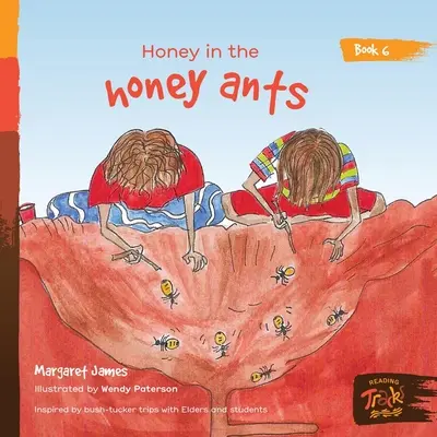Med v medu mravenců - Honey in the honey ants